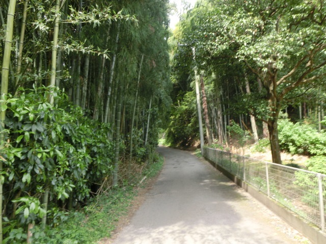 f:id:bikeshop-airu:20200507184508j:plain