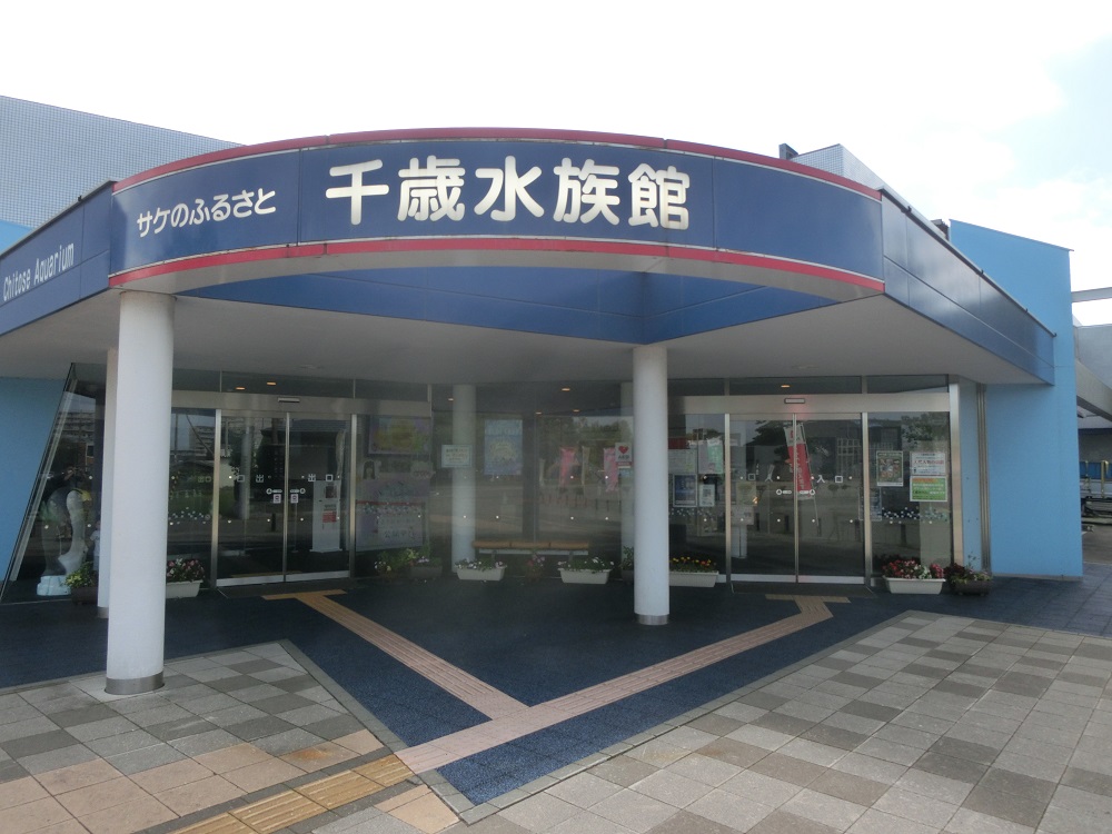f:id:bikeshop-airu:20200911182517j:plain