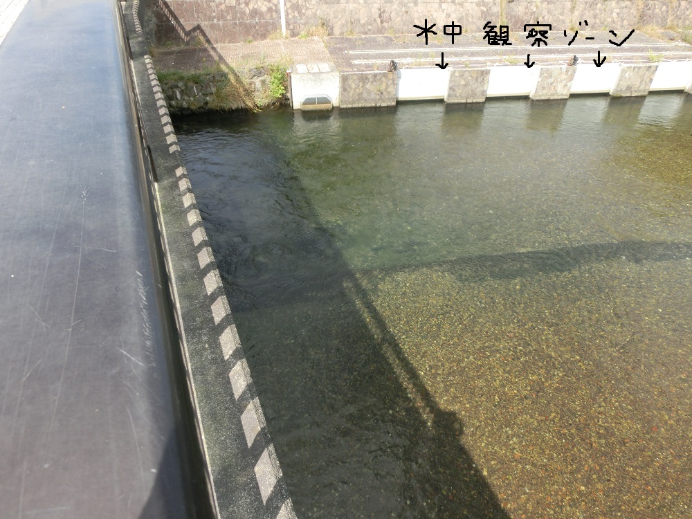 f:id:bikeshop-airu:20200918112623j:plain