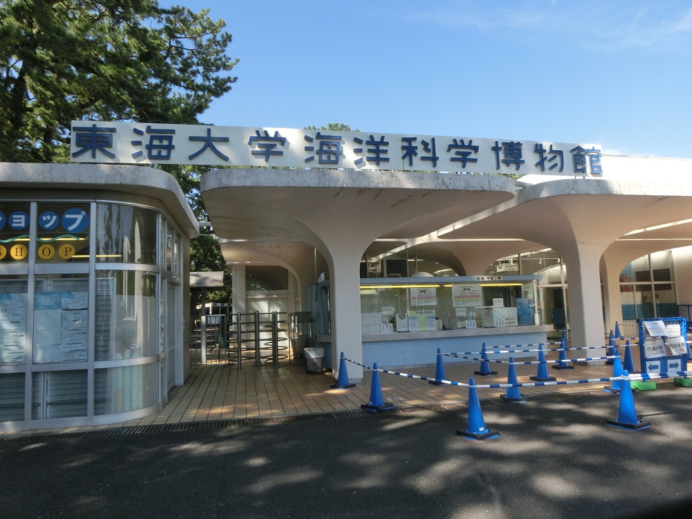 f:id:bikeshop-airu:20201005175742j:plain