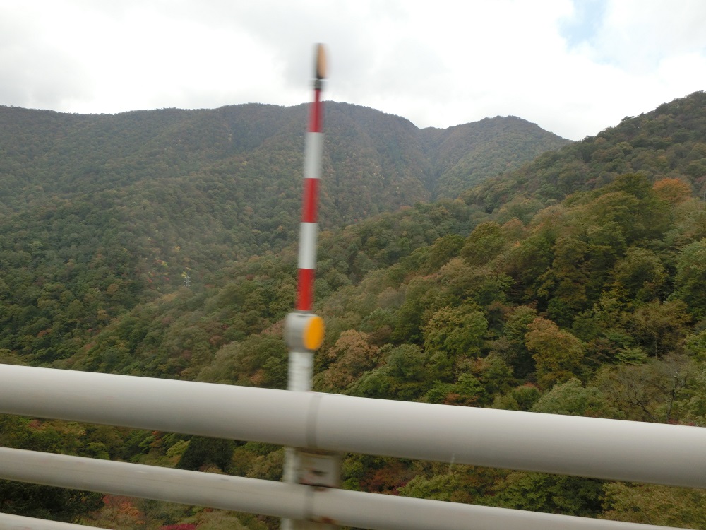 f:id:bikeshop-airu:20201022115925j:plain