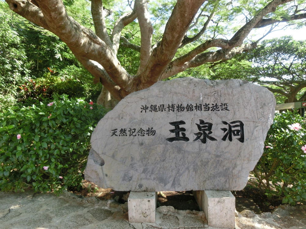 f:id:bikeshop-airu:20201205142138j:plain