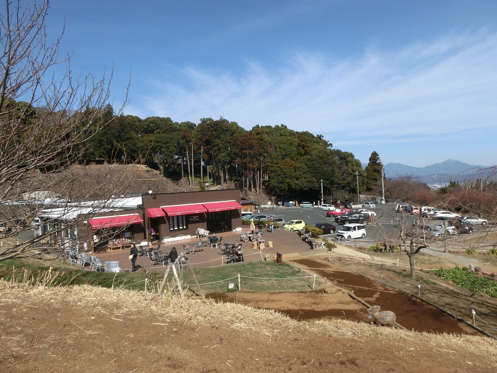 f:id:bikeshop-airu:20210211125501j:plain