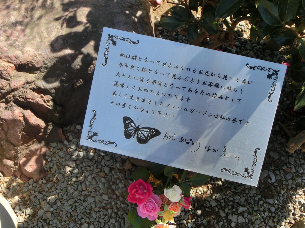 f:id:bikeshop-airu:20210211125537j:plain