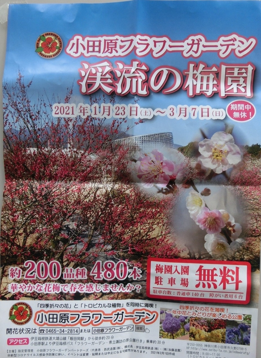 f:id:bikeshop-airu:20210212112646j:plain
