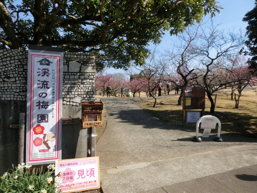 f:id:bikeshop-airu:20210212113312j:plain
