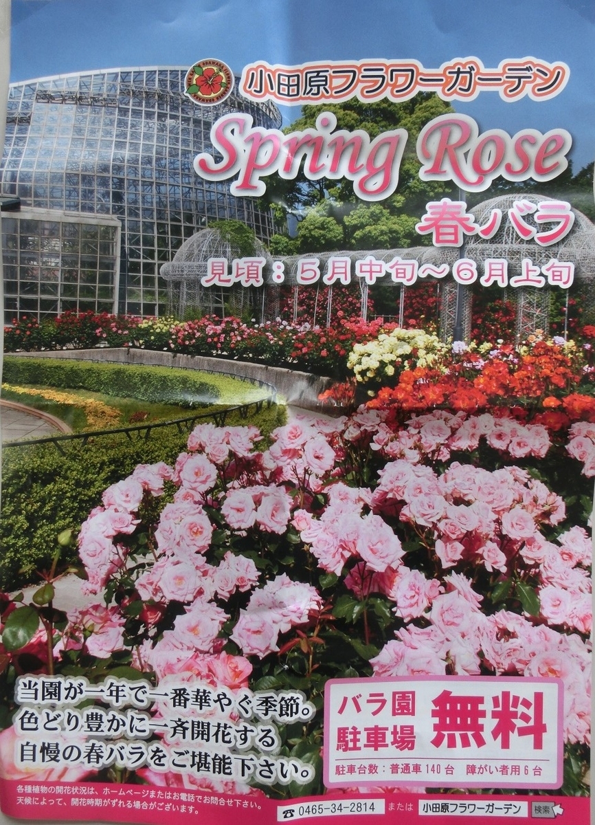 f:id:bikeshop-airu:20210212113341j:plain