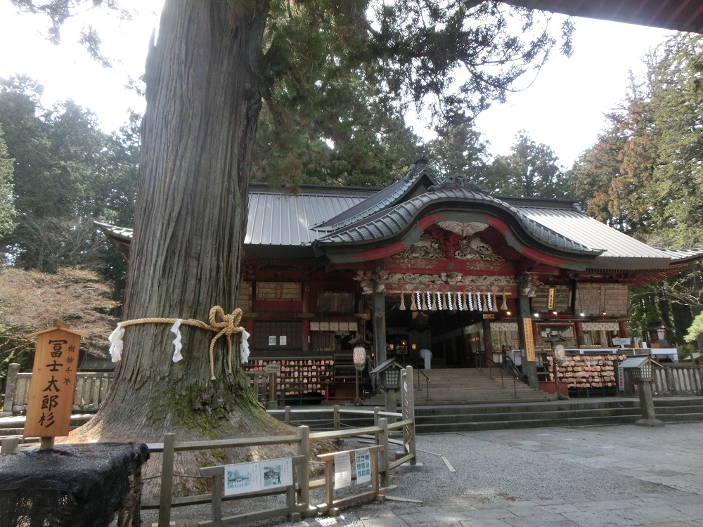 f:id:bikeshop-airu:20210322134722j:plain