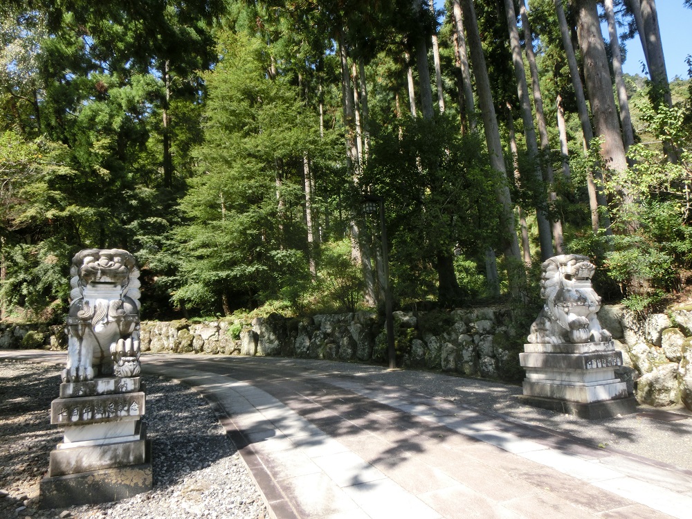 f:id:bikeshop-airu:20210930185444j:plain