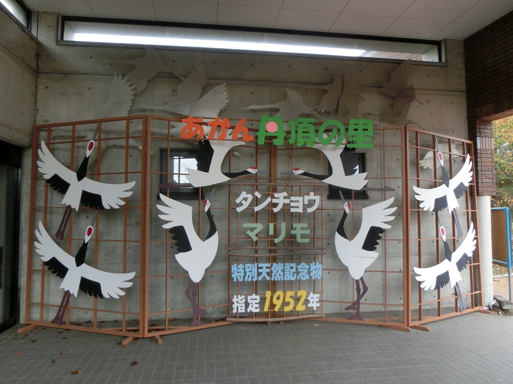 f:id:bikeshop-airu:20211011160420j:plain