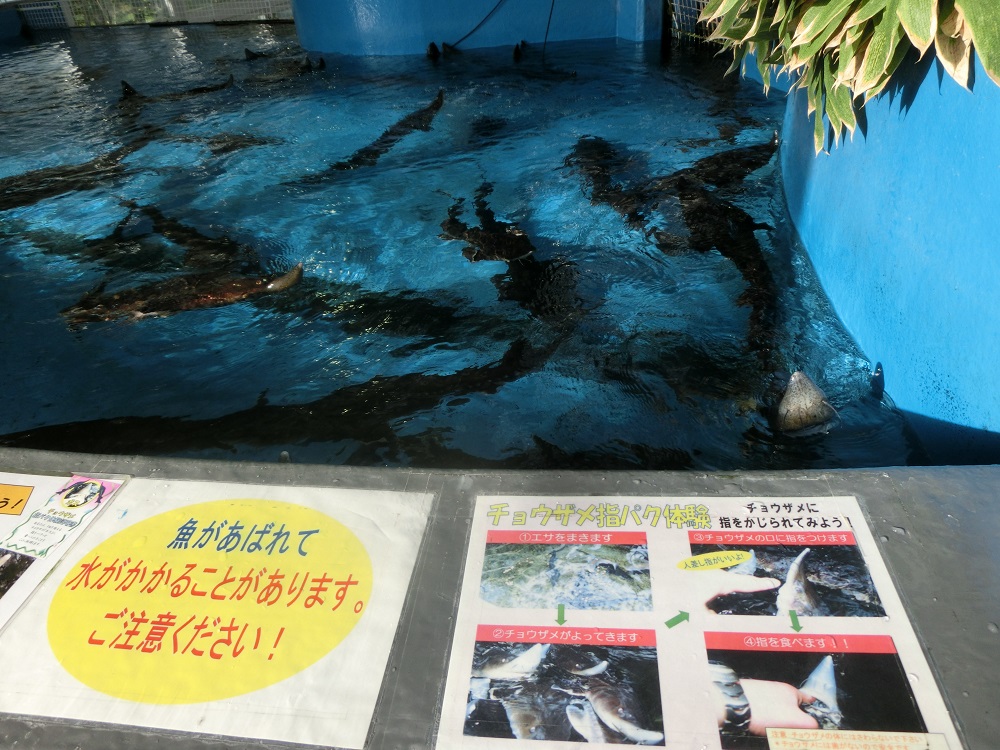 f:id:bikeshop-airu:20211017134110j:plain