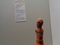 20241114183726