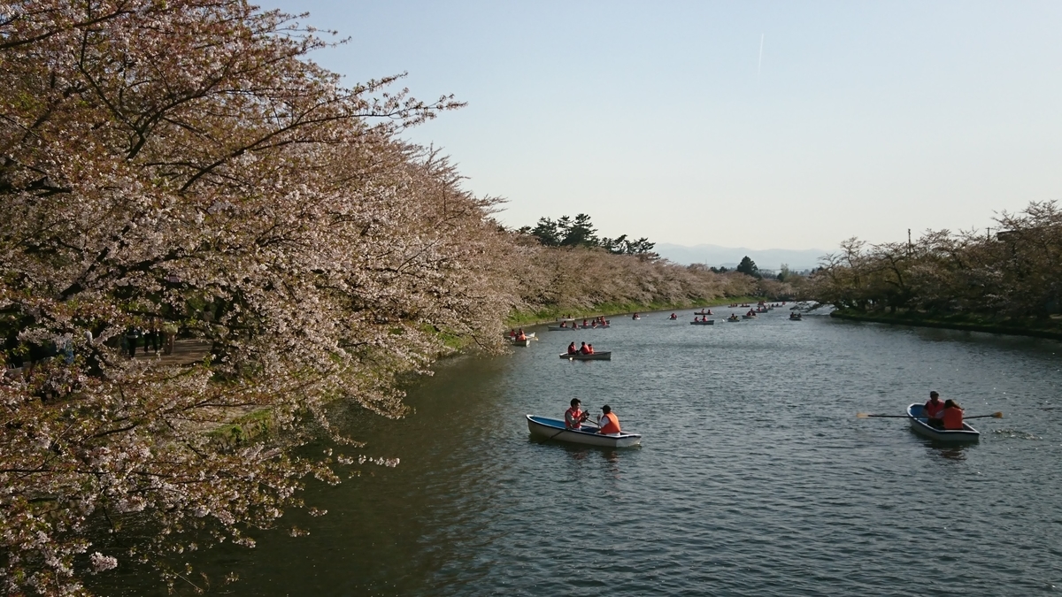 弘前公園 桜 葉桜 弘前公園 桜 葉桜