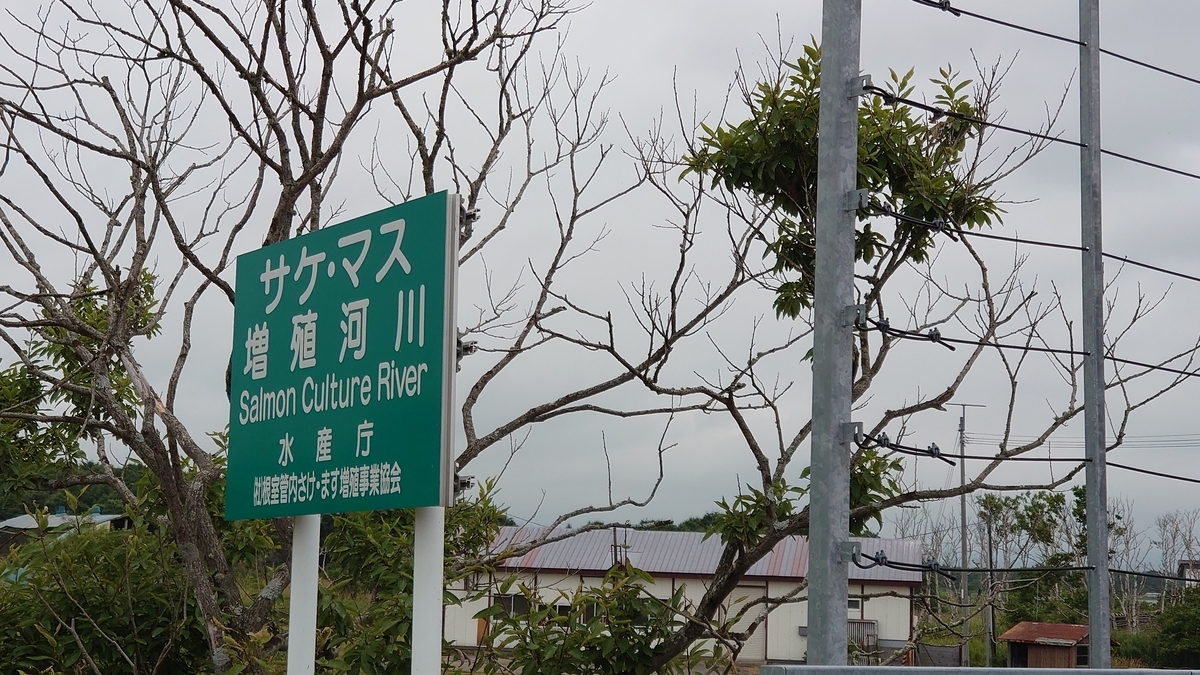 サケ･マス増殖河川 自転車旅行