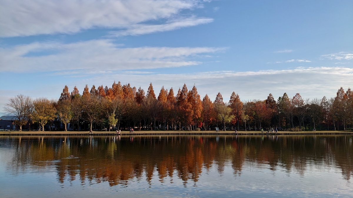 都立水元公園 紅葉