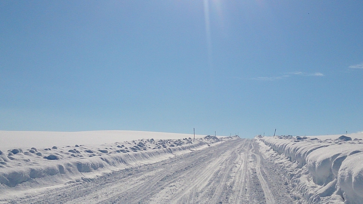 北海道 美瑛町 雪道 北海道 美瑛町 雪道
