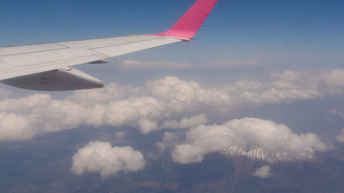 JAL2703便 FDA 富士山上空