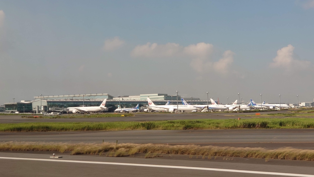 JAL291便 B737-800 羽田空港 駐機場