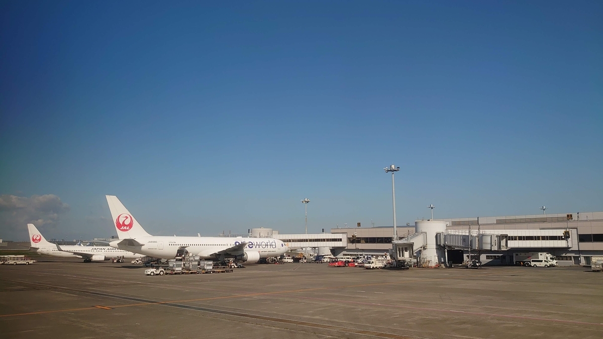 JAL291便 B737-800 V40 羽田空港