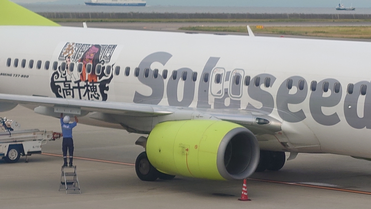 SNA B737 高千穂特別塗装機