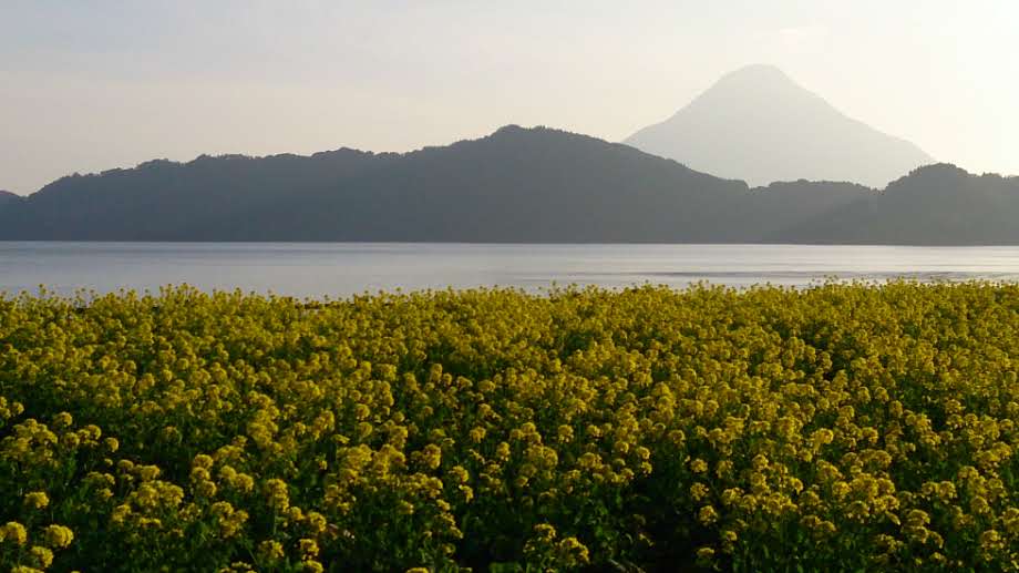 鹿児島県指宿市 池田湖
