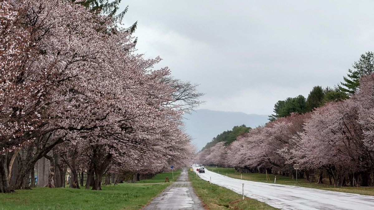 北海道新ひだか町 二十間道路