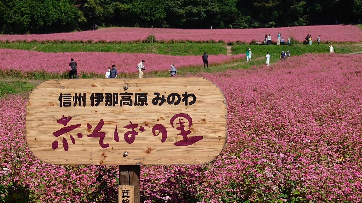 長野県箕輪町 赤そばの里