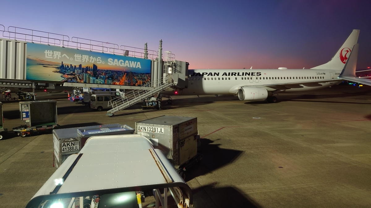 羽田空港 JAL国内線 日の出前の駐機場