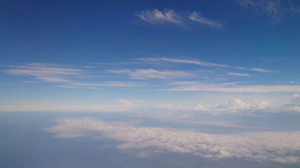 JAL2051便 巡航高度