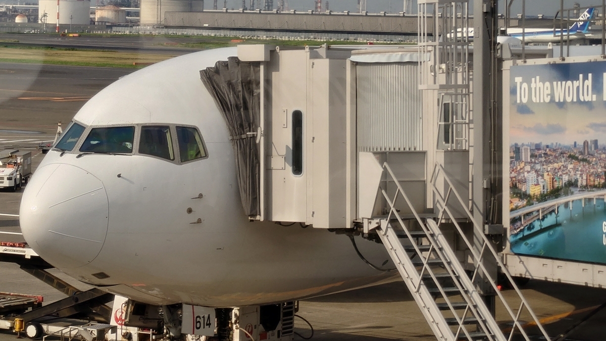 2023年1月9日（月） JAL104 航空券 07:30 大阪(伊丹) → 08:40 東京(羽田) 1名 搭乗記】JAL/JL0104(大阪伊丹/東京羽田) - 日本の迷い方