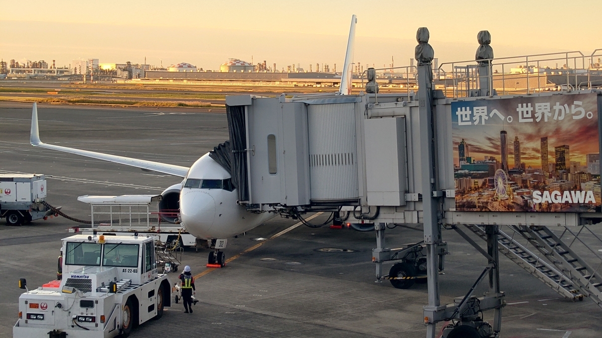 羽田空港 JAL B737-800型機 機体外観