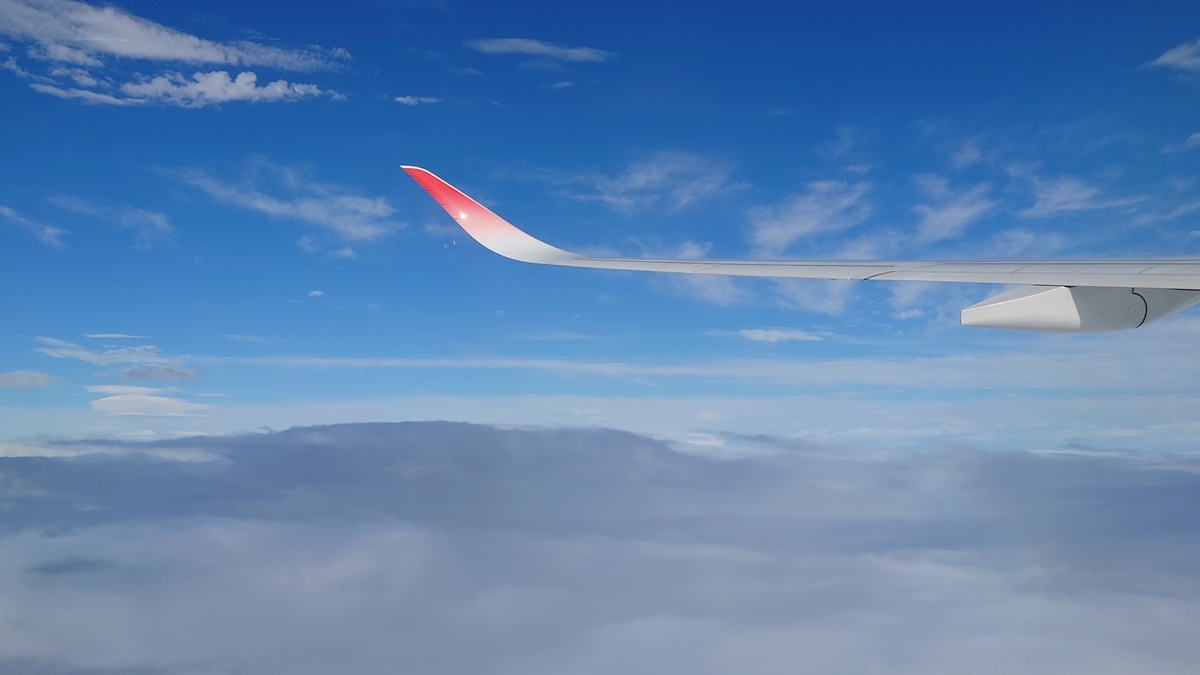 JAL303便 巡航中