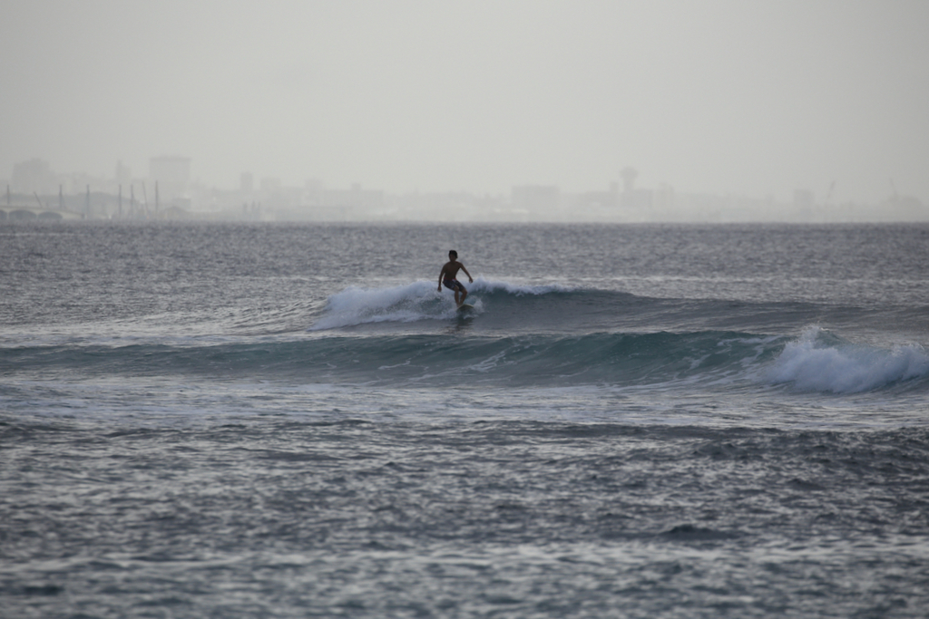 f:id:bikkuri_kuri_taro:20171021185510j:plain f:id:bikkuri_kuri_taro:20171021185510j:plain