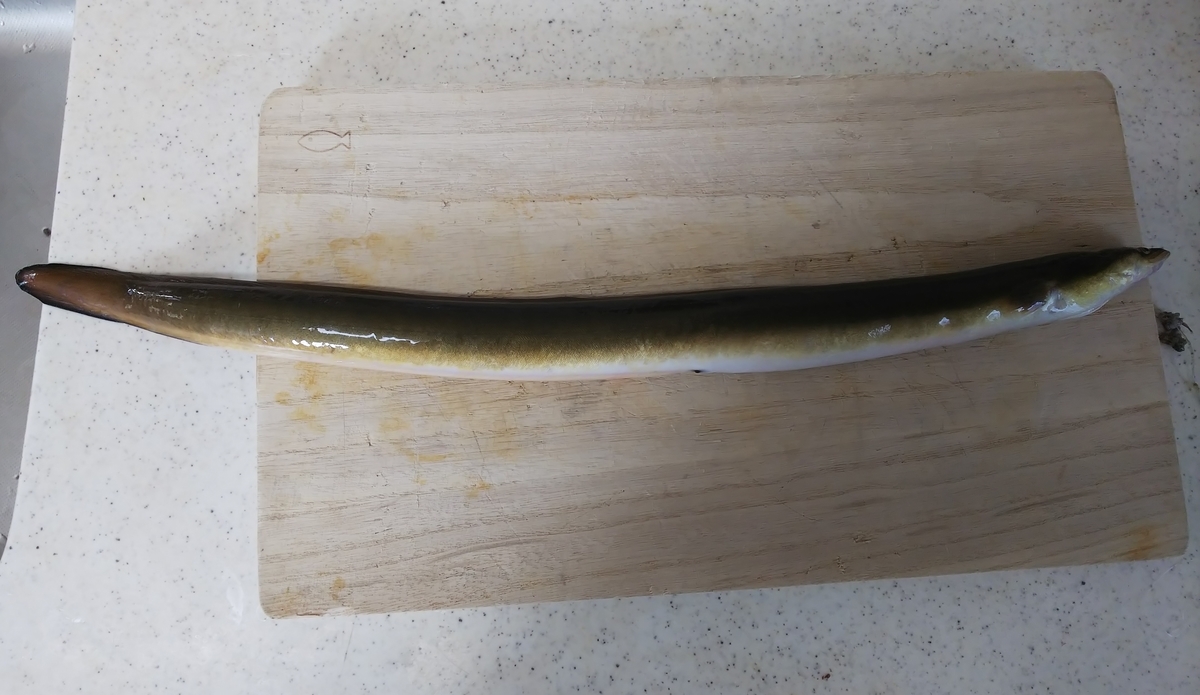 f:id:bikkypretty:20210807085850j:plain