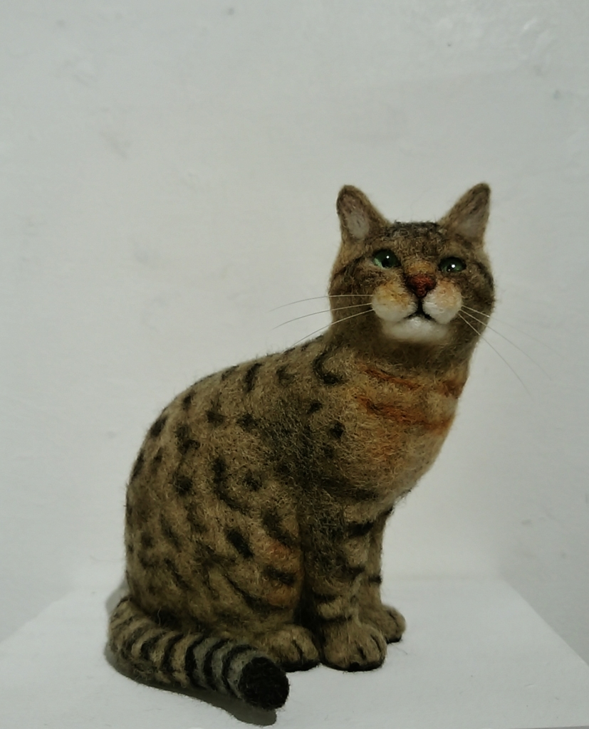 f:id:billiken-note:20170406161629j:plain