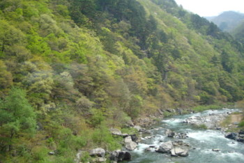 f:id:bimyourunner:20090502114538j:image