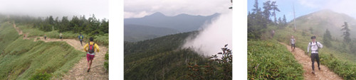 f:id:bimyourunner:20090528165433j:image f:id:bimyourunner:20090528165433j:image