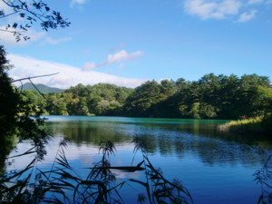 f:id:bimyourunner:20100925150918j:image