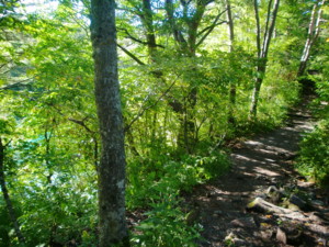 f:id:bimyourunner:20100925151457j:image
