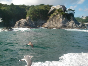 f:id:bimyourunner:20101011135311j:image