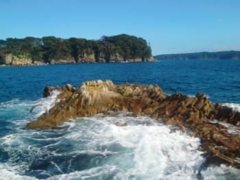 f:id:bimyourunner:20101011135823j:image