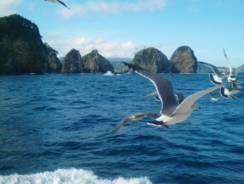 f:id:bimyourunner:20101011140301j:image