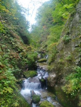 f:id:bimyourunner:20101012145503j:image