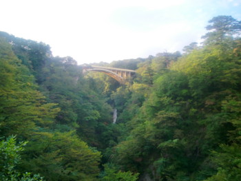 f:id:bimyourunner:20101012153704j:image