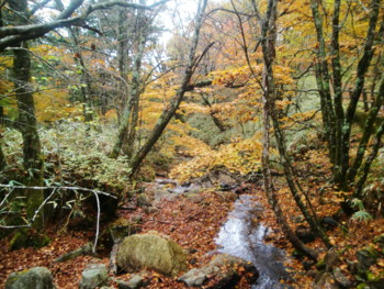 f:id:bimyourunner:20101026125631j:image