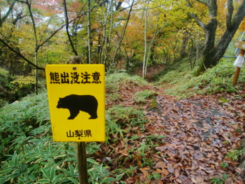 f:id:bimyourunner:20101026132054j:image