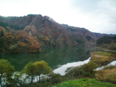 f:id:bimyourunner:20101116151022j:image