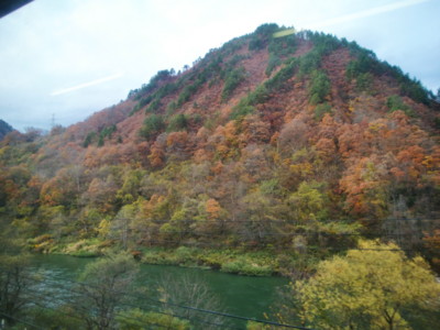 f:id:bimyourunner:20101116151740j:image