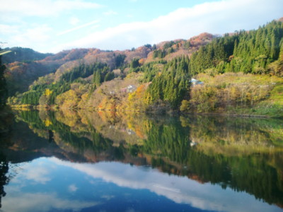 f:id:bimyourunner:20101116153222j:image
