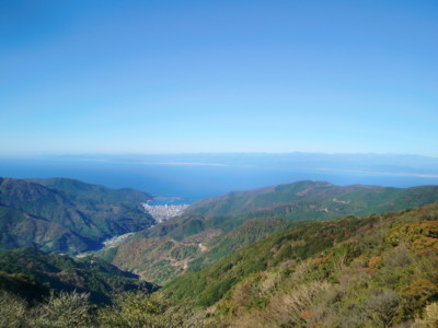 f:id:bimyourunner:20101119095246j:image